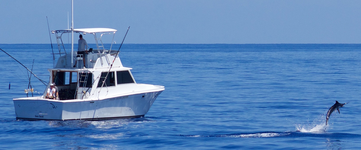 Fishing boat shipping